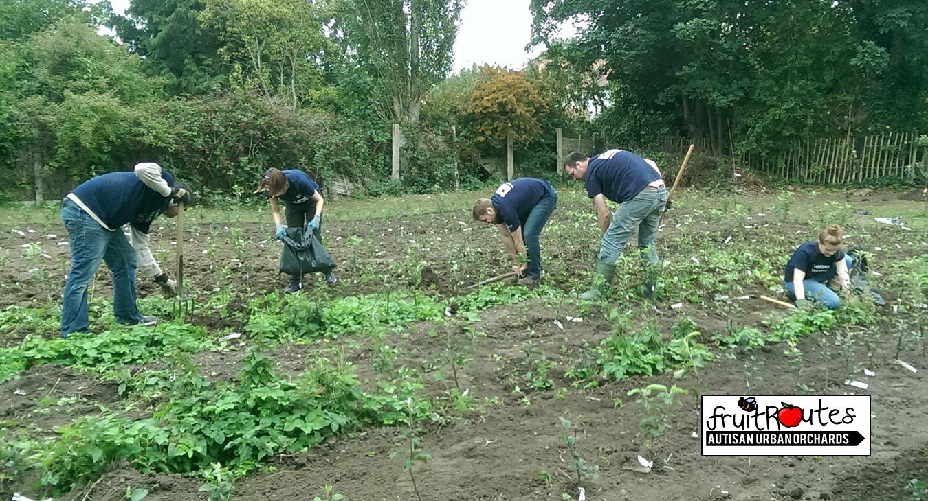 The O2 CSR team start digging over the second half of the Lyndale Orchard tree nursery area