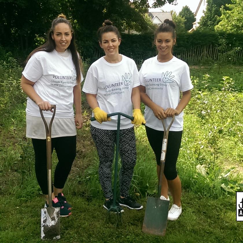 Lloyds Bank CSR Team Work on the Fruit Routes Lyndale Orchard
