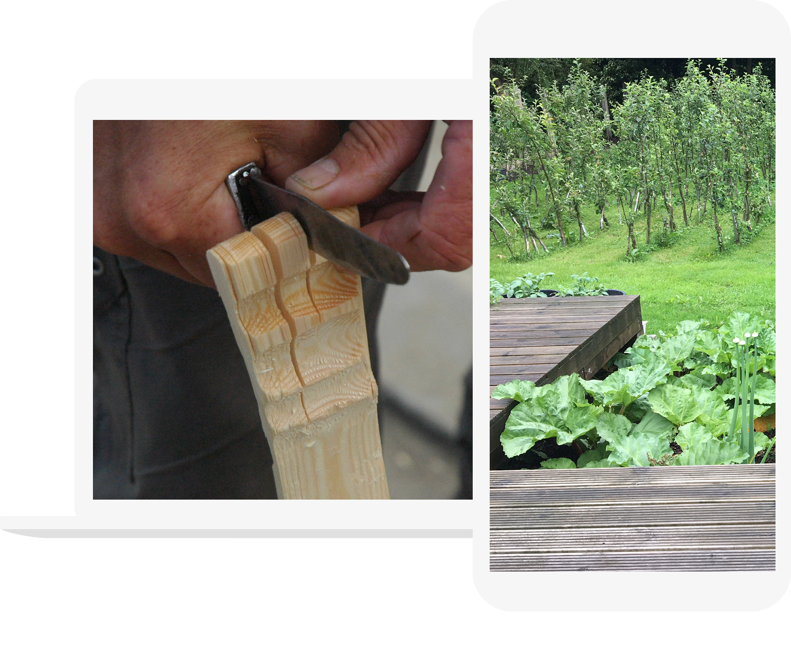 front page hero image