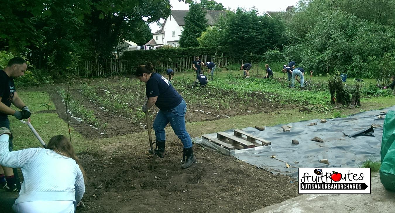 The O2 CSR team start digging over the second half of the Lyndale Orchard tree nursery area