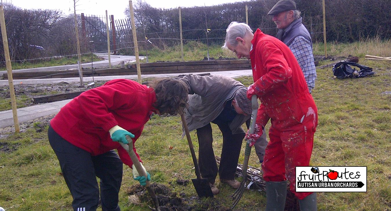 Wallasey Rotarians plant fruit trees at Fruit Routes Autisan orchards